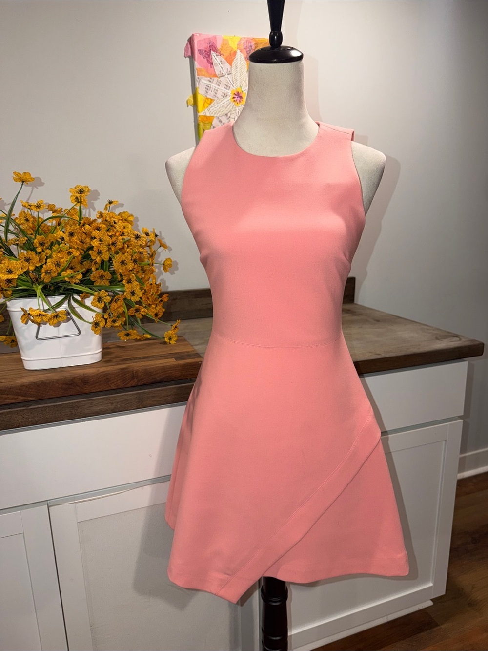 Elizabeth and James Pink Sleeveless Mini Dress size 4